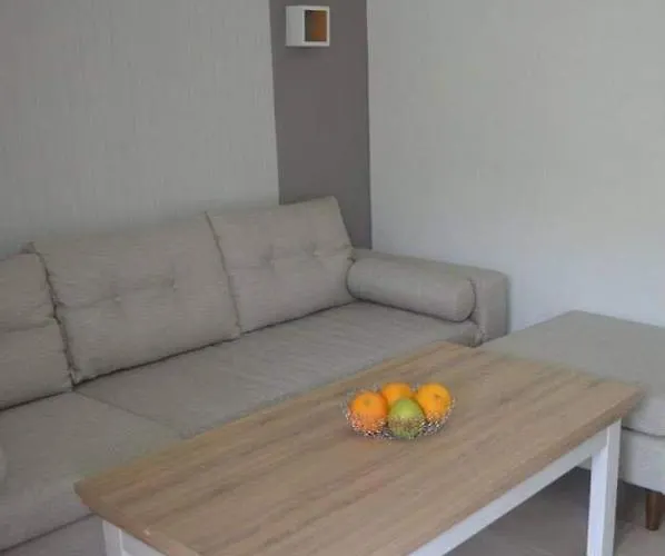 Delfino * Moles Kalyves