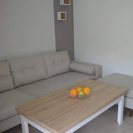 Delfino * مولا كاليفا